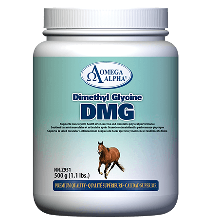 DMG-500g-450x450