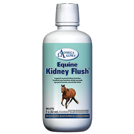 EQ-KIDNEY-FLUSH-1L-450x450
