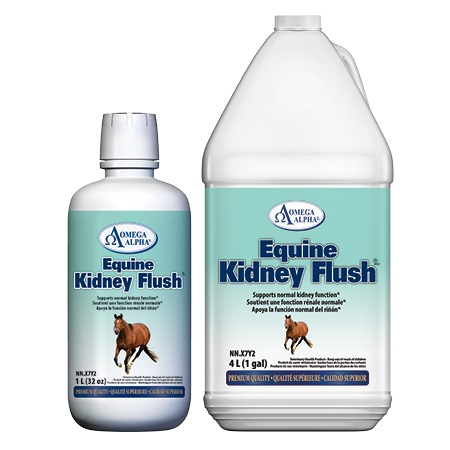 Equine-Kidney-Flush-GROUP