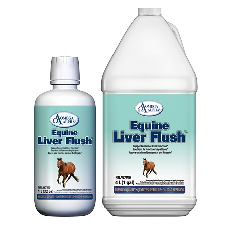 Equine-Liver-Flush-GROUP