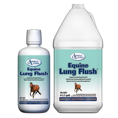 Equine-Lung-Flush-GROUP