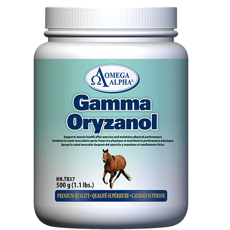 GAMMA-ORYZANOL-500g-450x450