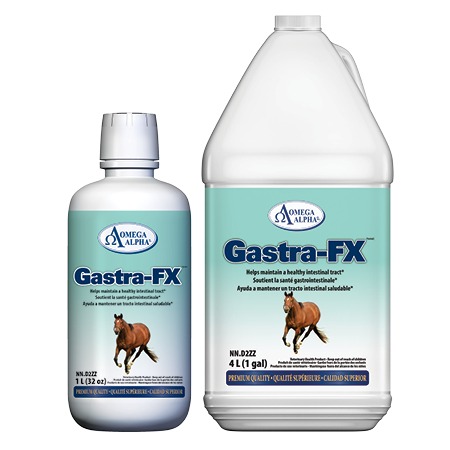 Gastra-FX-GROUP