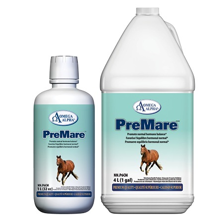 PreMare-GROUP