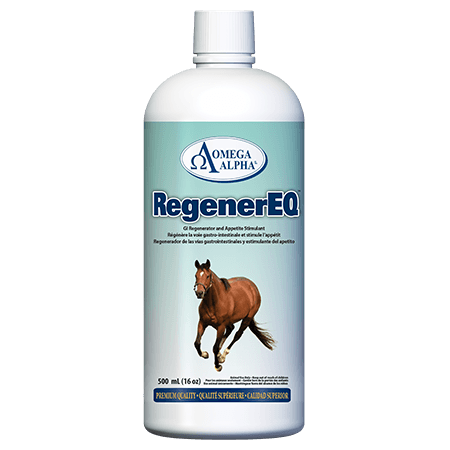 REGENEREQ-500ML