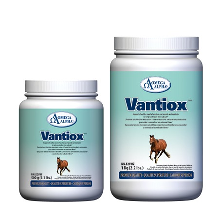 Vantiox-GROUP